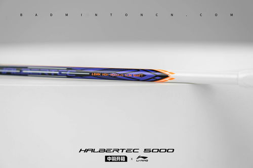 中羽开箱 从容布局 攻守并重 李宁 战戟5000 球拍图赏