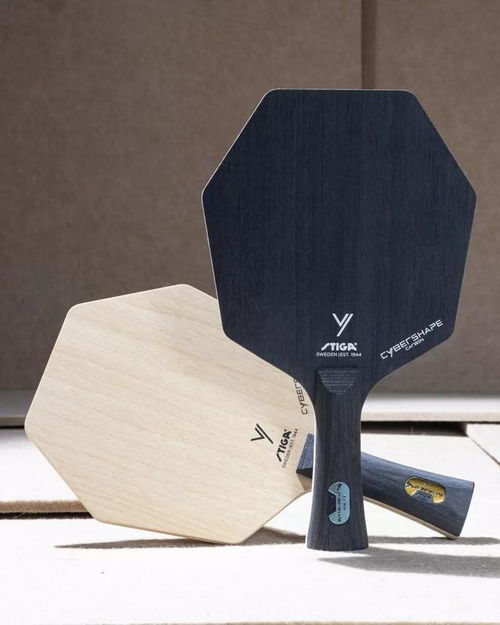 打败王楚钦 用奇特六角形球拍拿到奥运银牌 都在问瑞典鲜肉是谁