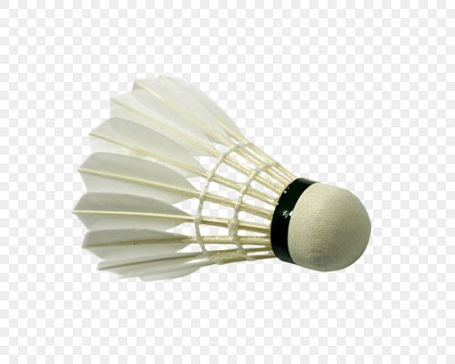 羽毛球拍的分类与选购指南