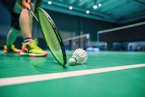 月薪两万的羽毛球之困 球拍为何成为“奢侈品”？